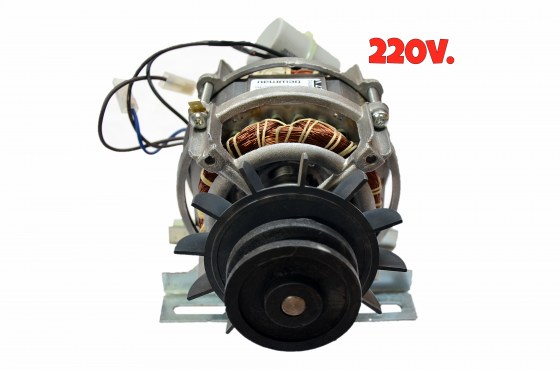 1138 MOTOR  220v.  (Pé de Ferro-42 MM.) - POLIA DE ALUMÍNIO 2